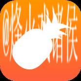 大菠萝视频下载